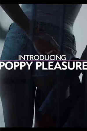 Poppy Pleasure-下课后的兼职 (唯美，美腿)