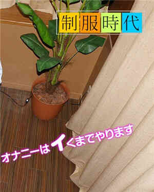 [有码新番]制服时代请不要露脸