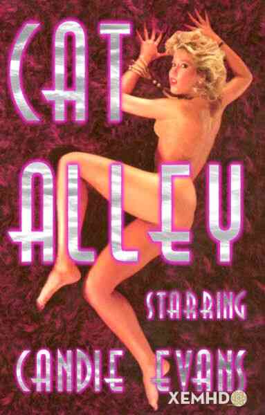 Cat Alley